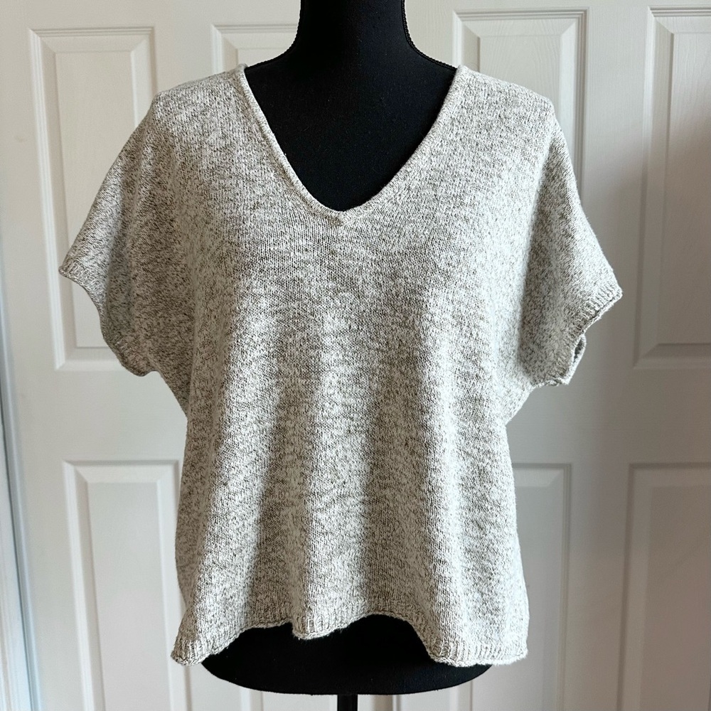 Madewell Oatmeal Slouchy Short Sleeve Knit Sweater Top